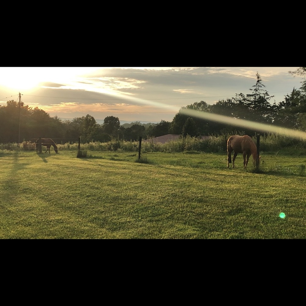 Meet your Posher, Kasey